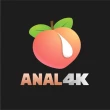 Anal 4k logo